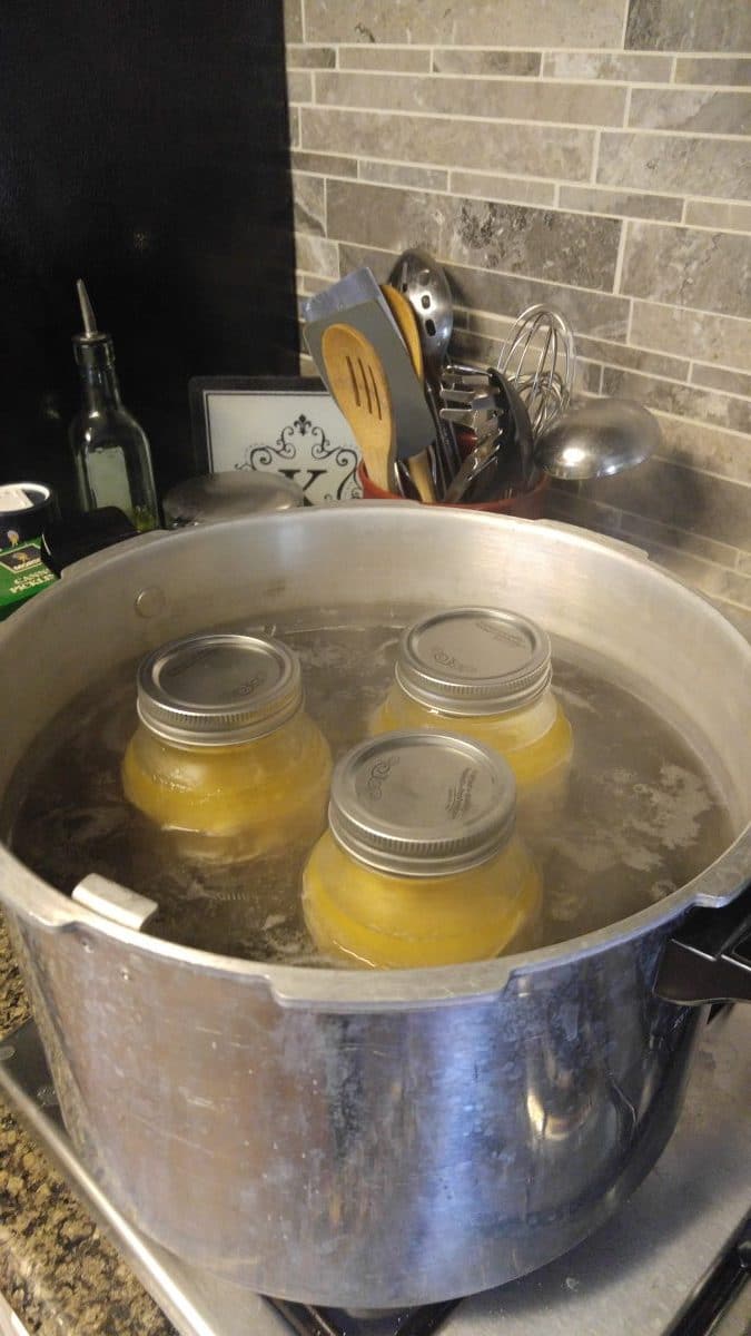 Canning Shredded Chicken-image