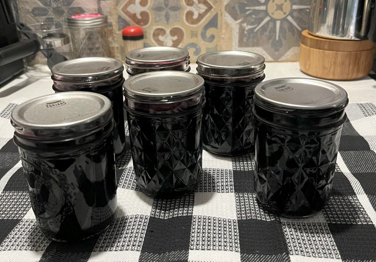 Canning sweet blueberry jam