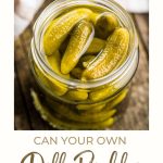 Homemade dill pickles in a jar sitting on a counter.