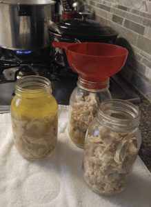 Canning Shredded Chicken